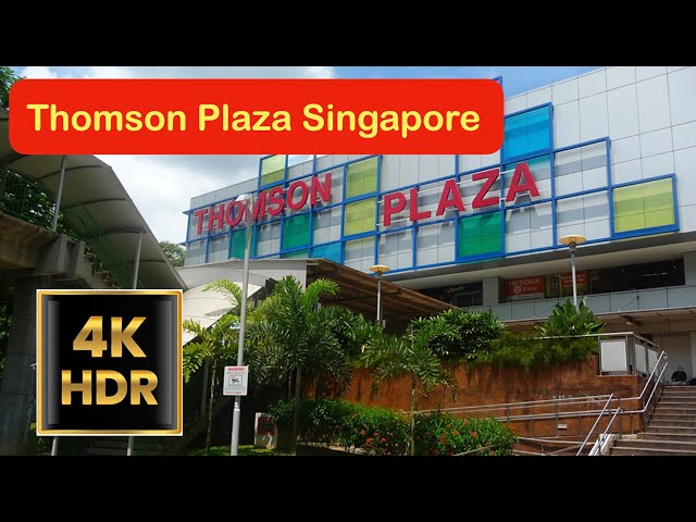 Master Room (Condo) for Rent in  Thomson View Condominium - Image 11