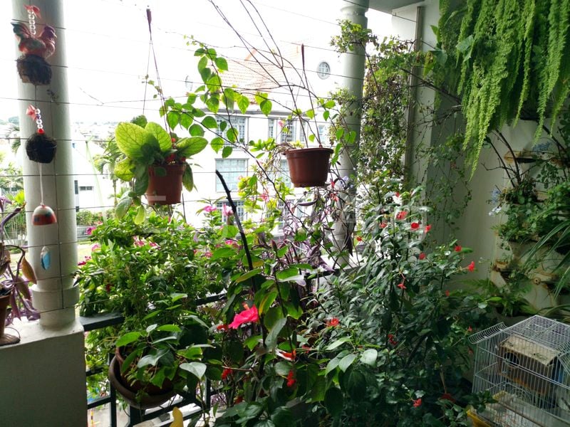 3 Bed Condo for Rent in  Serenity Park - Image 22