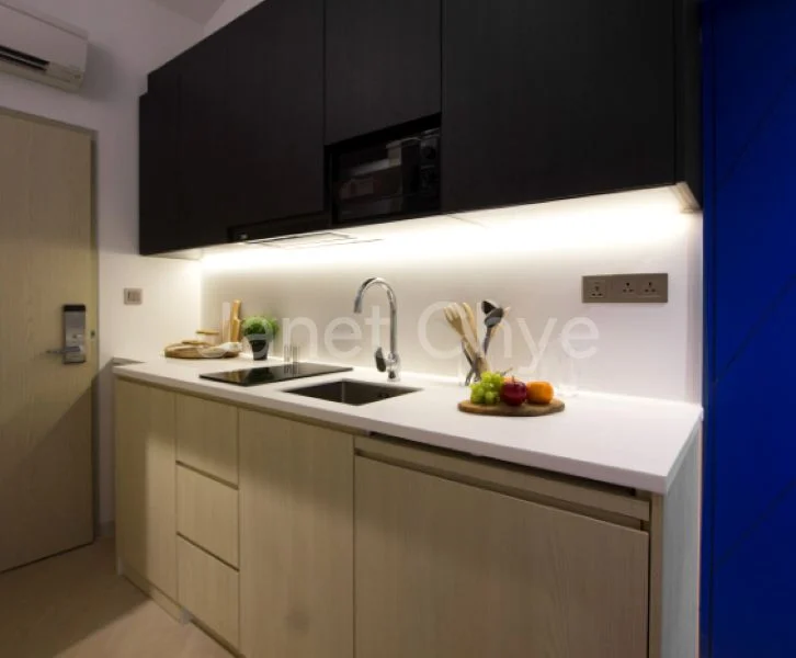 Studio Apartment (Condo) for Rent in  1557 Keppel Road - Image 3