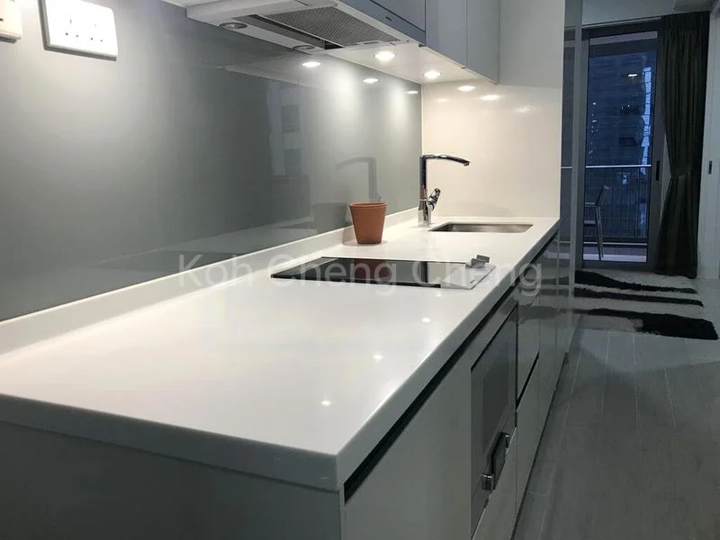 1 Bed Condo for Sale in  V On Shenton - Image 4