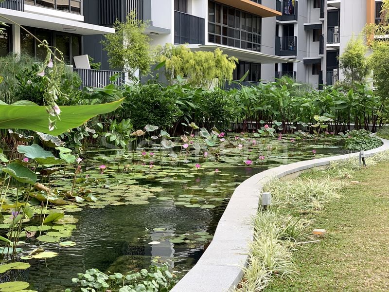 2 Bed Condo for Rent in  Coco Palms - Image 18