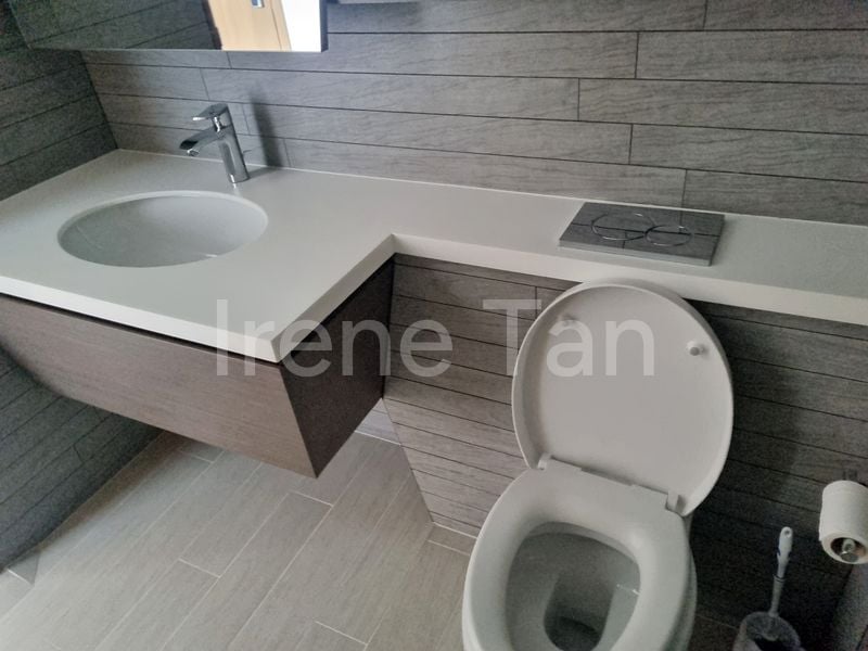 Studio Condo for Sale in  V On Shenton - Image 4
