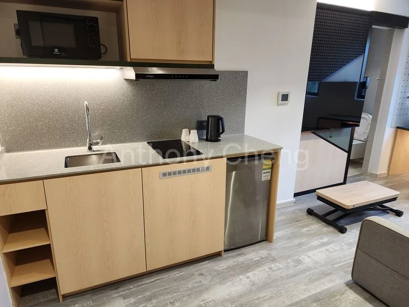 Studio Apartment (Condo) for Rent in  Coliwoo Balestier 320 - Image 3