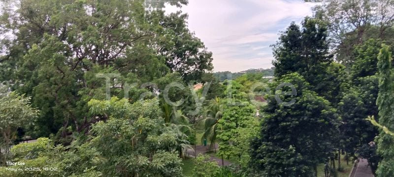 Common Room (HDB) for Rent in  810 Yishun Ring Road - Image 7