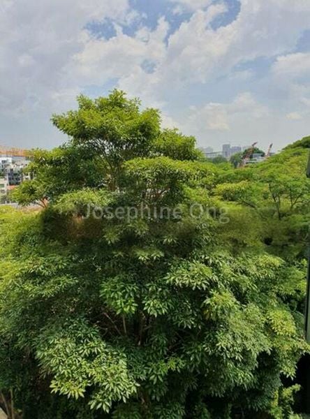 Room (HDB) for Rent in  249 Bangkit Road - Image 1