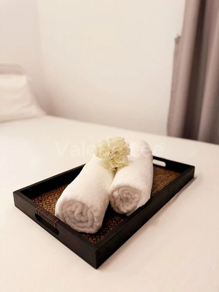 1 Bed Condo for Sale in  The Santorini - Image 4