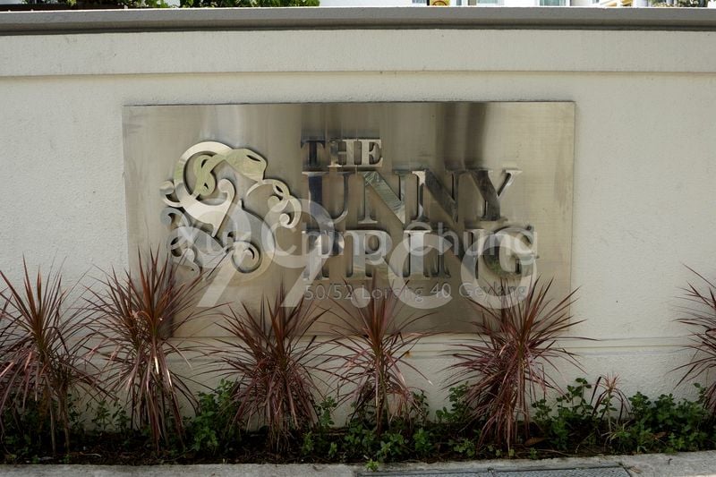 3 Bed Apartment (Condo) for Rent in  The Sunny Spring - Image 10