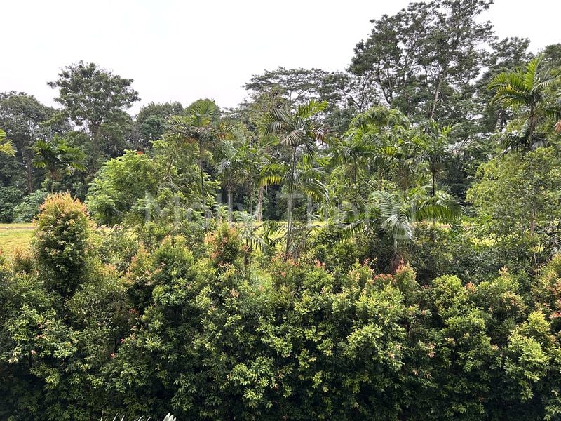 3 Bed Condo for Rent in  Hillview Park - Image 6