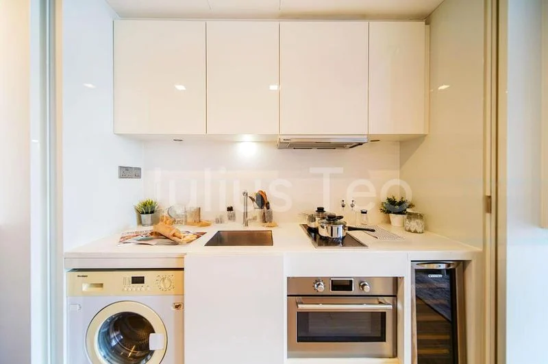 1 Bed Condo for Sale in  Skysuites @ Anson - Image 5