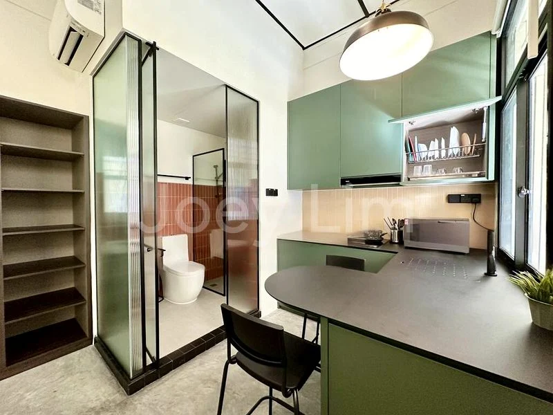 Master Room (Landed) for Rent in  Hindoo Road - Image 1